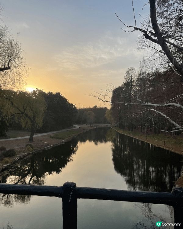 今次介紹的地方是上海共青國家森林公園，是合適情侶、一家大小、...