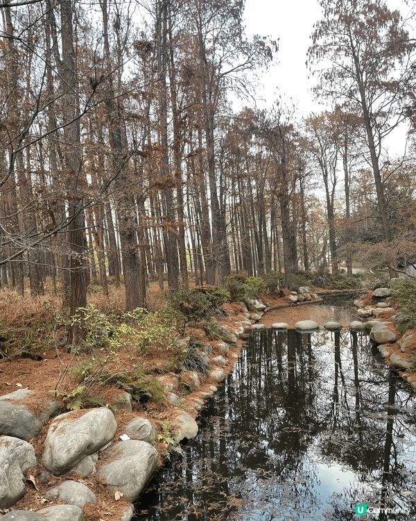 今次介紹的地方是上海共青國家森林公園，是合適情侶、一家大小、...