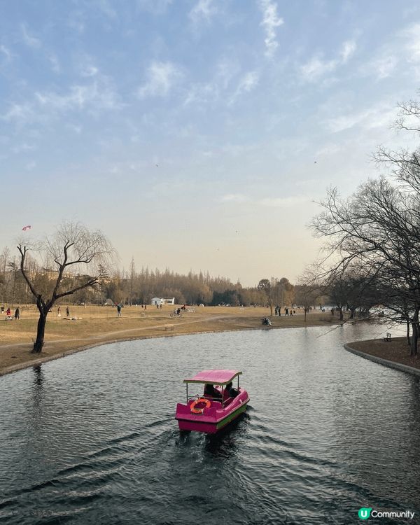 今次介紹的地方是上海共青國家森林公園，是合適情侶、一家大小、...