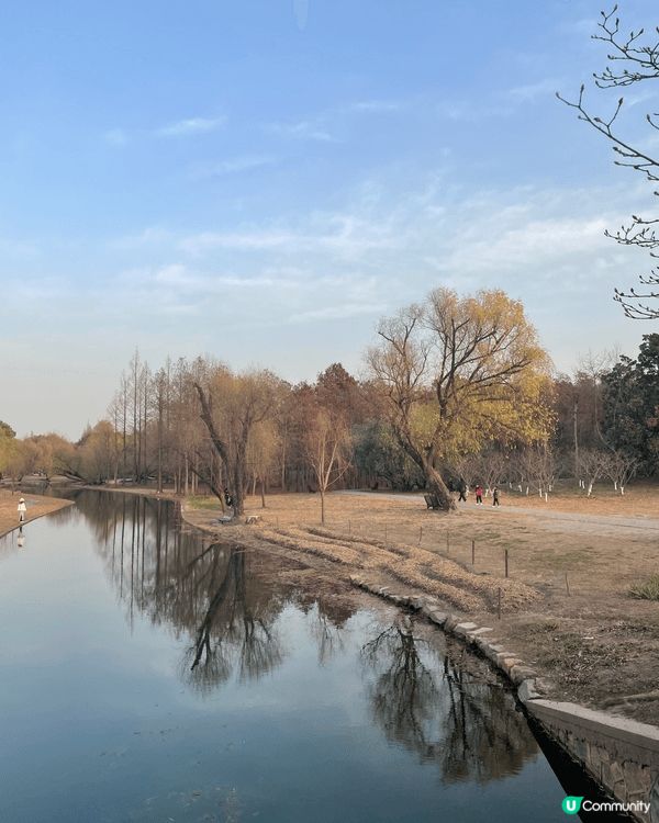 今次介紹的地方是上海共青國家森林公園，是合適情侶、一家大小、...