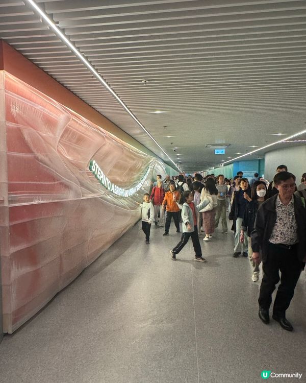 🌿中環散步路線！IFC新橋直通海傍，5分鐘打卡📸