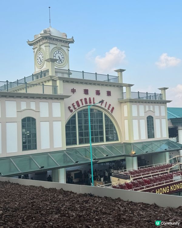 🌿中環散步路線！IFC新橋直通海傍，5分鐘打卡📸