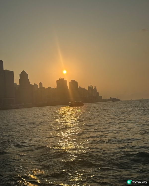 🌿中環散步路線！IFC新橋直通海傍，5分鐘打卡📸