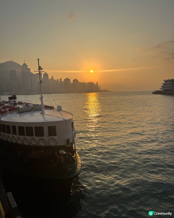 🌿中環散步路線！IFC新橋直通海傍，5分鐘打卡📸