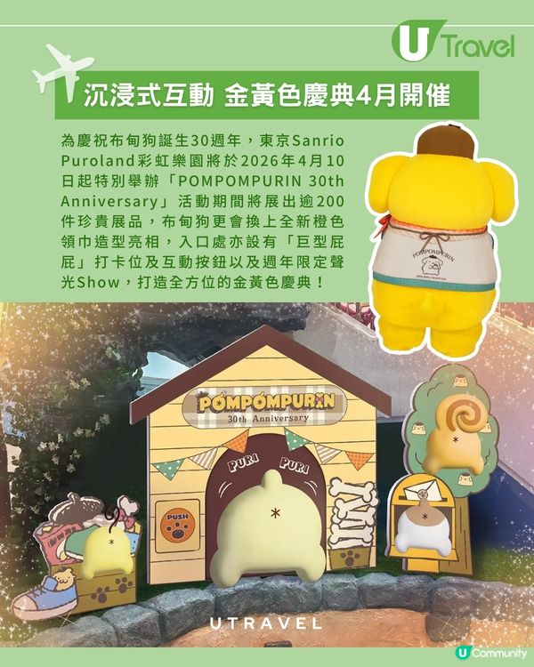 布甸狗30週年大慶典！限定屁屁打卡位、夢幻燈光Show！                                    