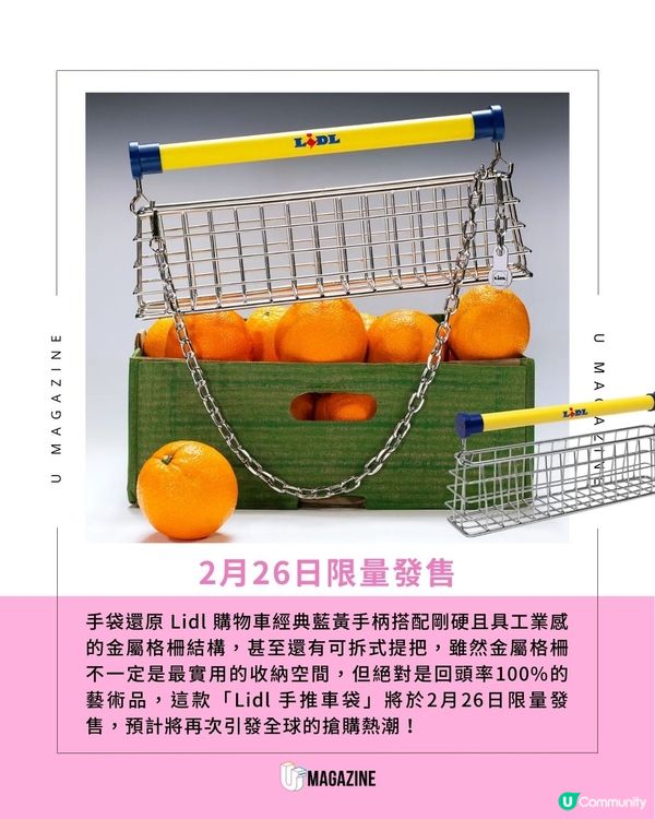Lidl超市購物車變身迷你小手袋！100%還原經典格柵、投幣扣細節感滿分                                    