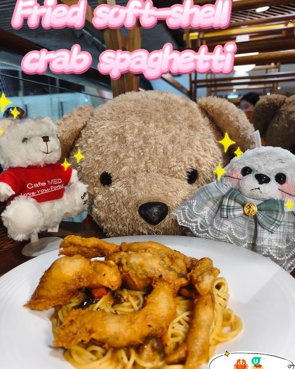 熊之國度就係呢度🧸 - 熊小館