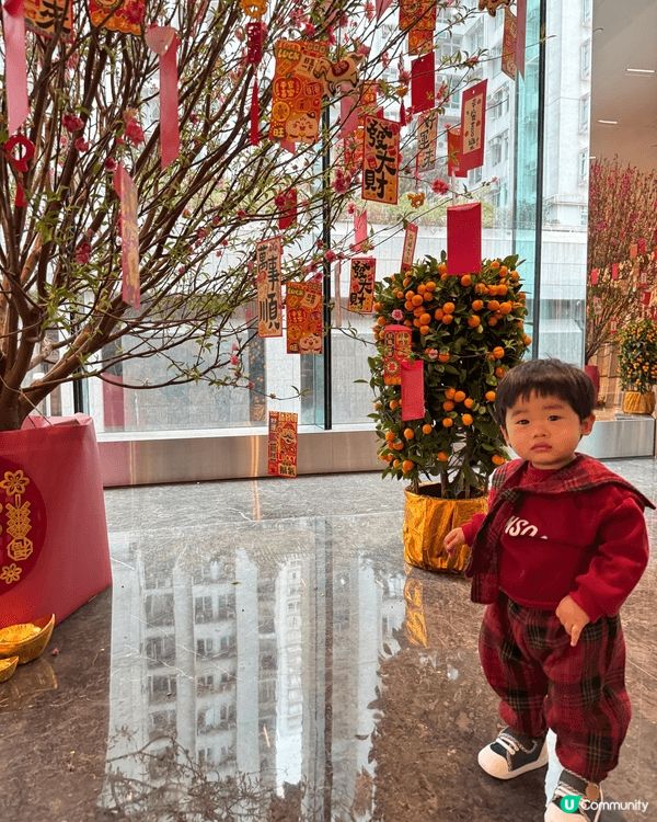 新年梗係去公園放電，然後再去夾公仔，最後點都要同桃花影張相，...