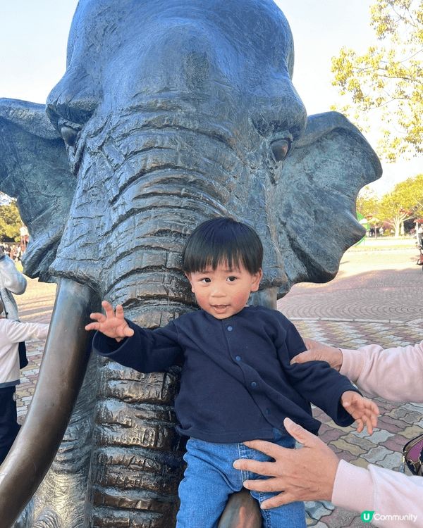 岩岩帶咗小朋友去上海野生動物園玩，認識咗好多動物，仲可以餵佢...