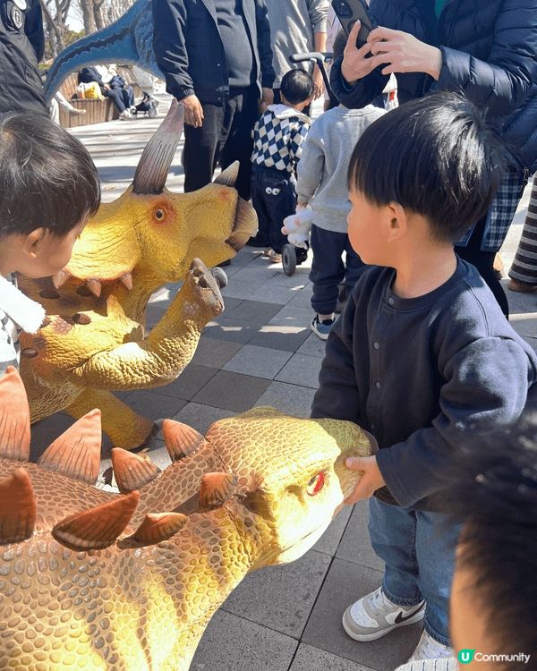 岩岩帶咗小朋友去上海野生動物園玩，認識咗好多動物，仲可以餵佢...