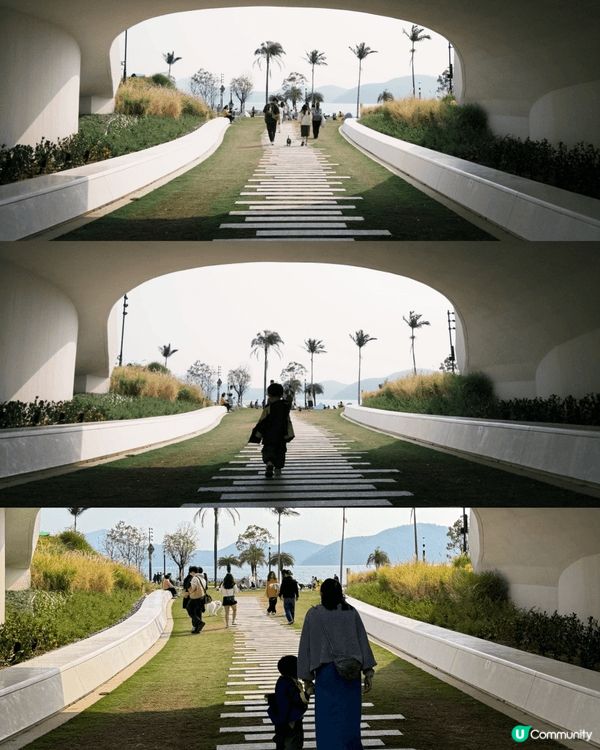 未生之前間中會黎cyberport野餐🧺放🐶