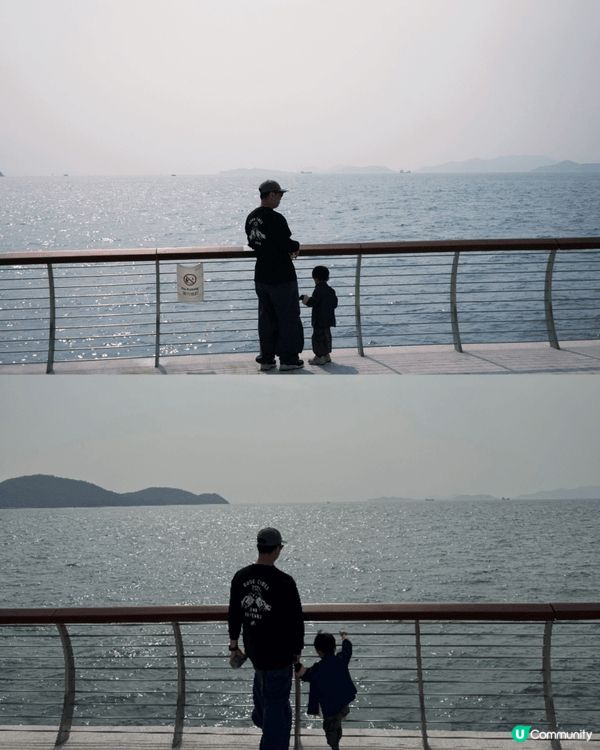 未生之前間中會黎cyberport野餐🧺放🐶