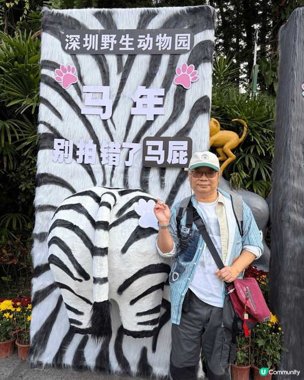深圳野生動物園最啱親子活動，一家大細消磨一整日假期 