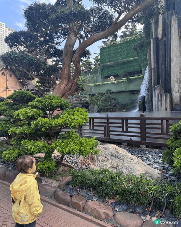 帶仔仔去南蓮園池打卡，真係好啱親子散步放空，又唔怕迫。南蓮園...