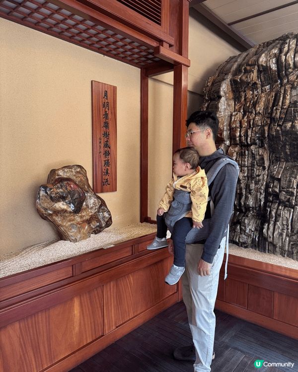 帶仔仔去南蓮園池打卡，真係好啱親子散步放空，又唔怕迫。南蓮園...