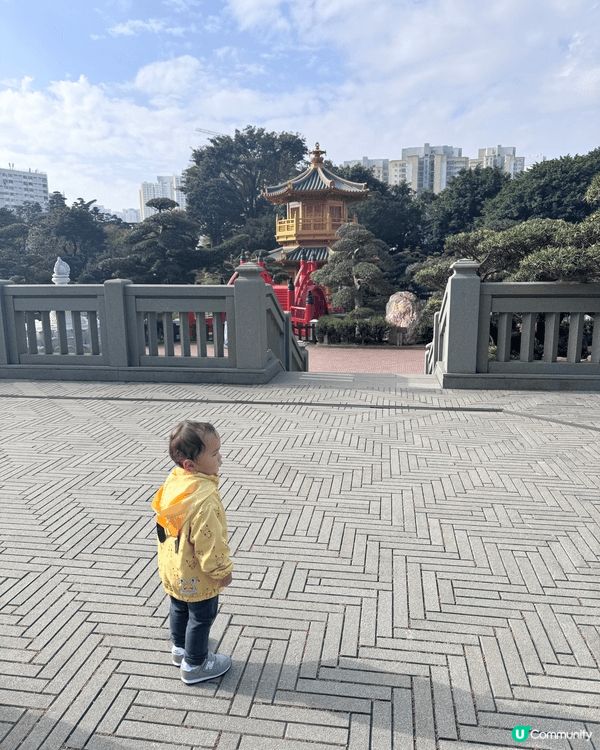 帶仔仔去南蓮園池打卡，真係好啱親子散步放空，又唔怕迫。南蓮園...