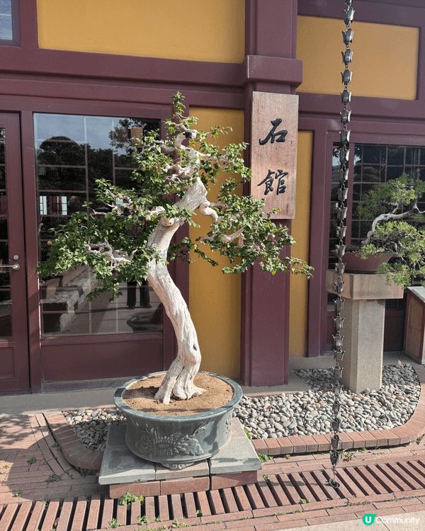 帶仔仔去南蓮園池打卡，真係好啱親子散步放空，又唔怕迫。南蓮園...