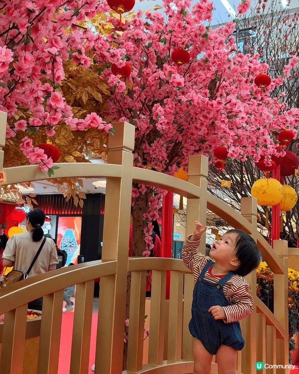 最鍾意一家人一齊去唔同地方探索