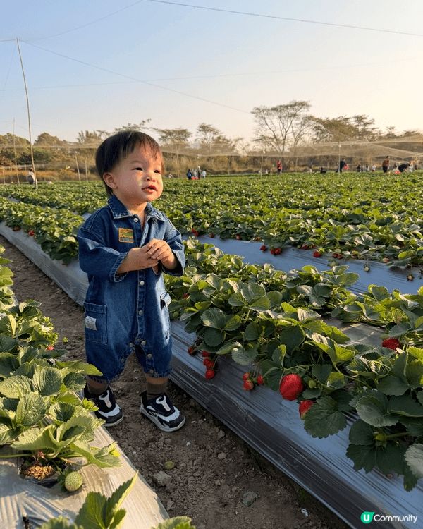 最鍾意一家人一齊去唔同地方探索