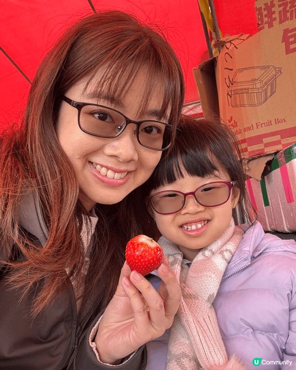 2月初我哋帶晴晴去咗「老徐士多啤梨園」摘士多啤梨🍓親親大自然...