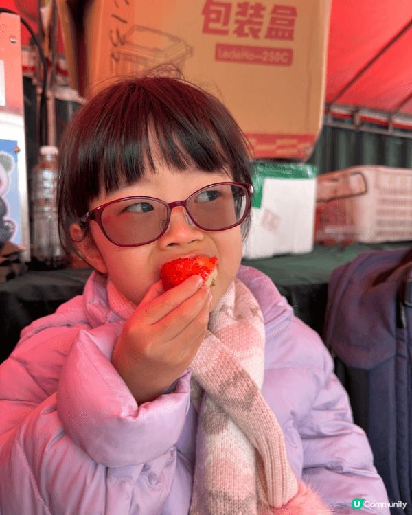 2月初我哋帶晴晴去咗「老徐士多啤梨園」摘士多啤梨🍓親親大自然...