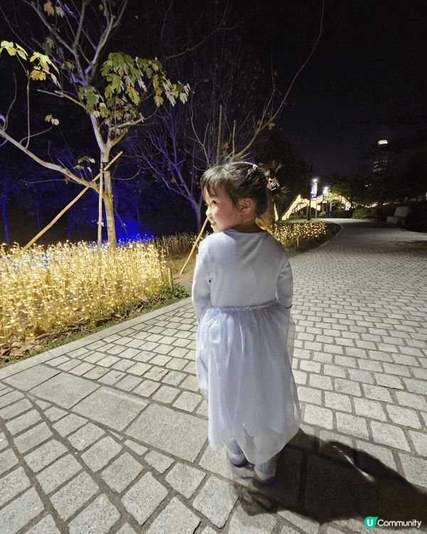 不論日夜，西九龍海濱公園都係一個一家大細或與好友野餐玩樂，打...