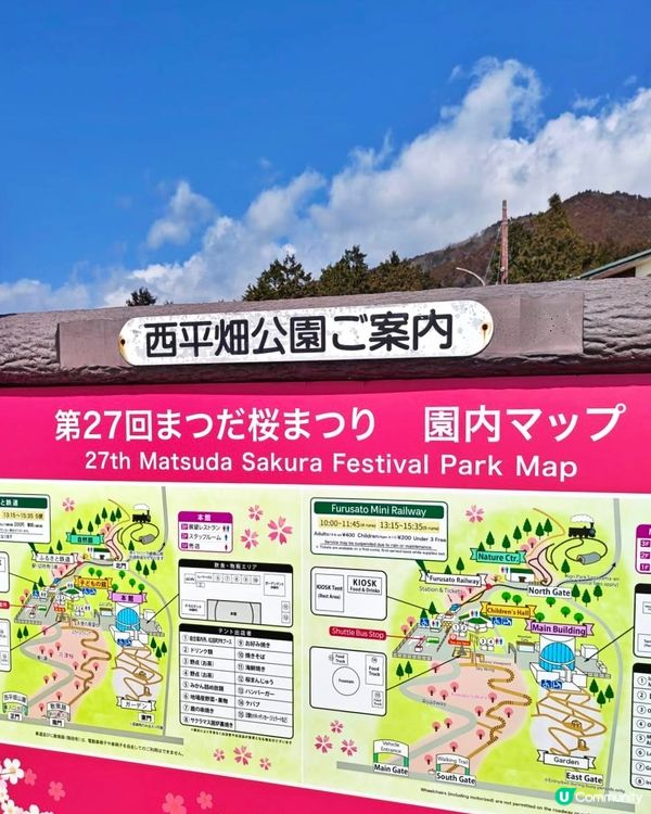 『日本』2月可以賞櫻！粉紅花海🌸🗻｜西平畑公園