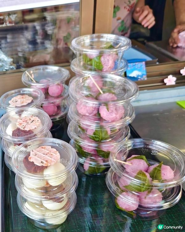 『日本』2月可以賞櫻！粉紅花海🌸🗻｜西平畑公園