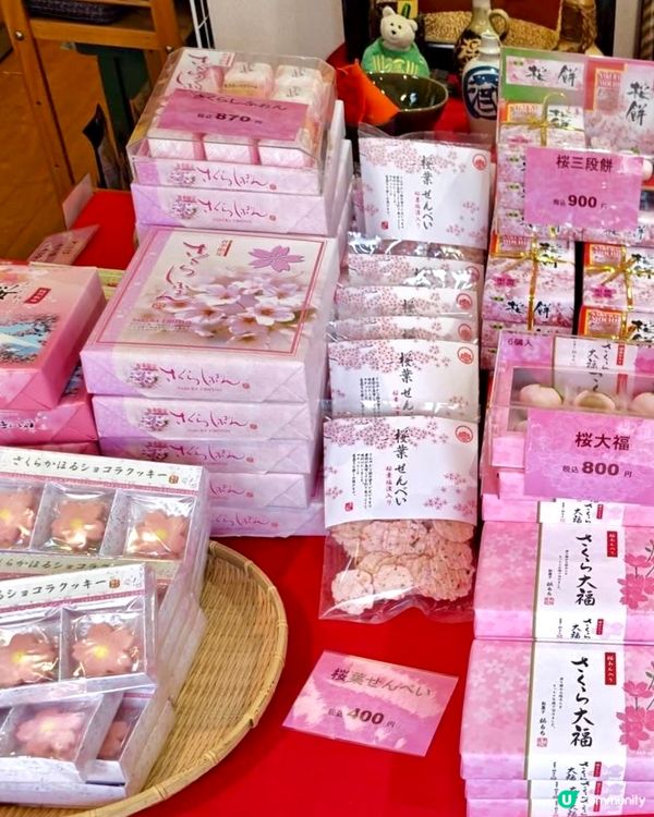 『日本』2月可以賞櫻！粉紅花海🌸🗻｜西平畑公園