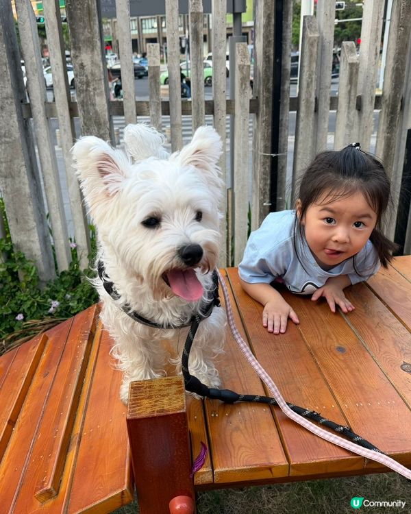 小朋友深圳放電的好地方🐶☕️