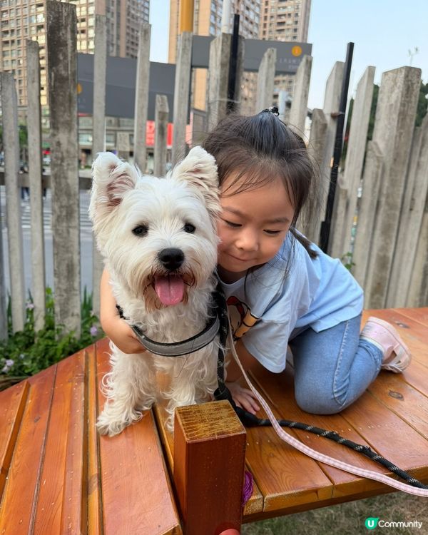 小朋友深圳放電的好地方🐶☕️