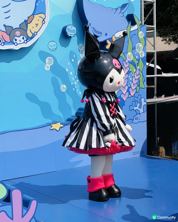 海洋公園夢幻聯乘Sanrio✨親身見到Kuromi? 