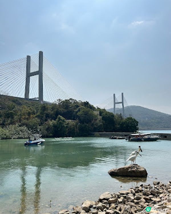 【香港四圍遊】馬灣 1868 半日遊 ♥ 打卡彩色藝術小屋 ♥ 壁畫 ♥ 鬱金香