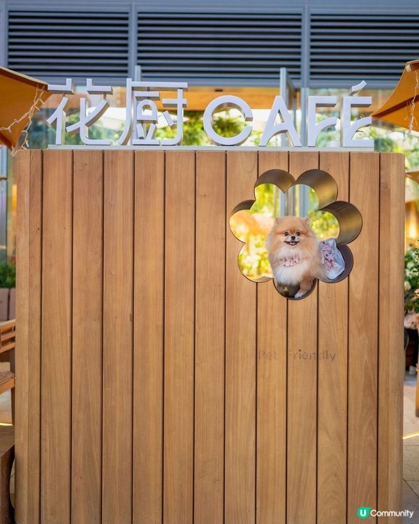 🌳花廚登陸啟德！森林感新店🌴🐈