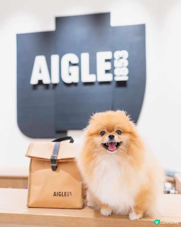 法國名牌Aigle 加入寵物Fashion