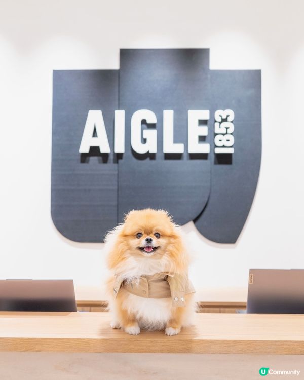 法國名牌Aigle 加入寵物Fashion