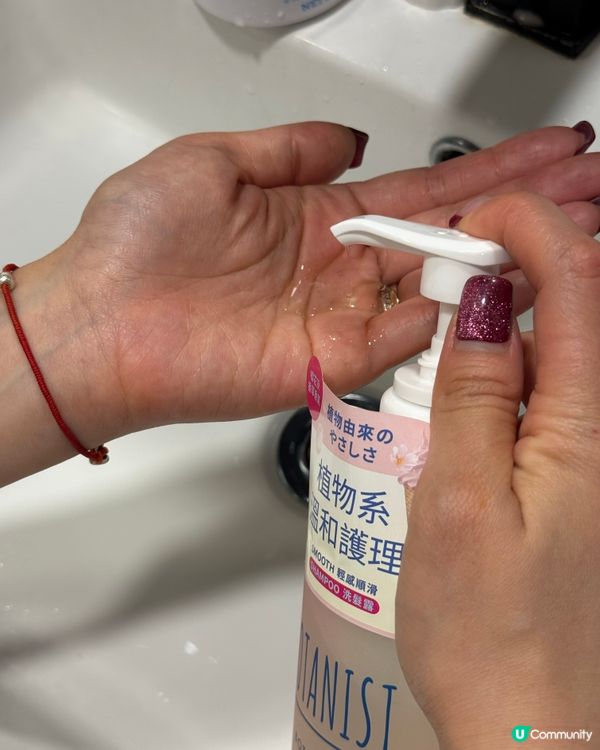 2026櫻花香草 🌸🤤