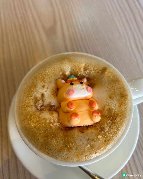 Kuri cafe 可愛蝟仔🐾 IGable！ 🏡💖