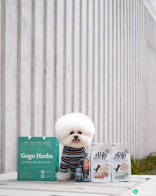 竟然一個平台就可以買齊咁多嘢🩵