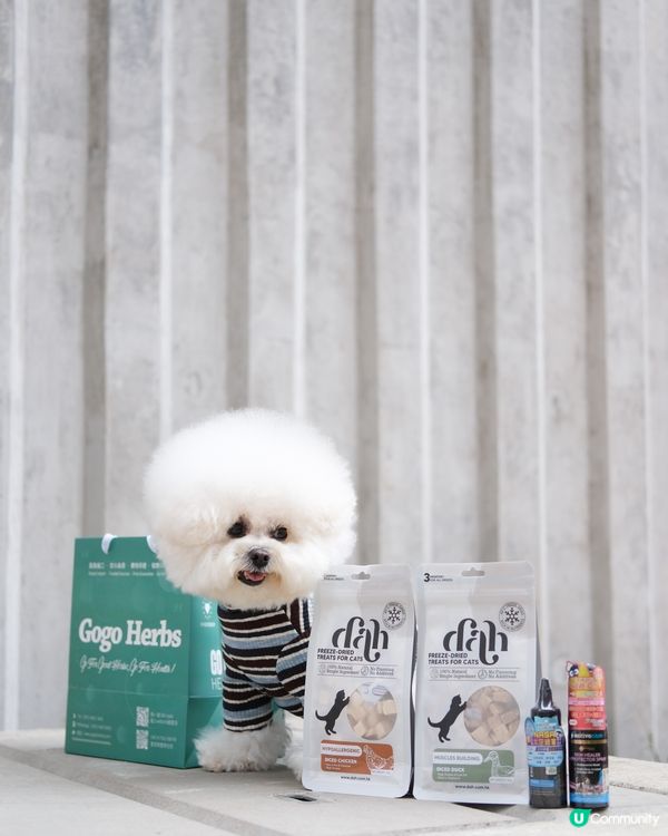 竟然一個平台就可以買齊咁多嘢🩵