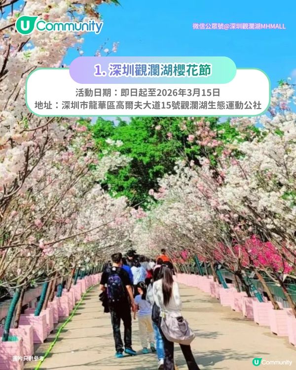 【深圳親子遊2026】深圳觀瀾湖2日1夜行程推介🌸櫻花節開幕/卡丁車/冰雪世界