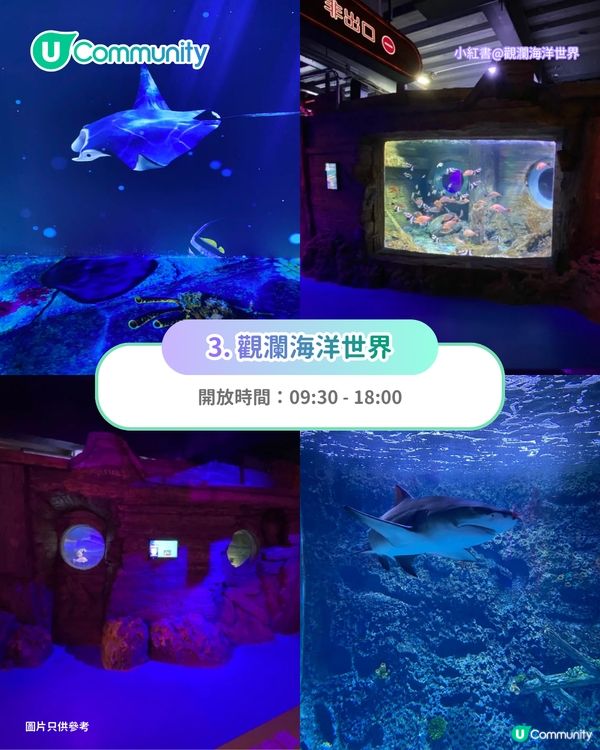 【深圳親子遊2026】深圳觀瀾湖2日1夜行程推介🌸櫻花節開幕/卡丁車/冰雪世界