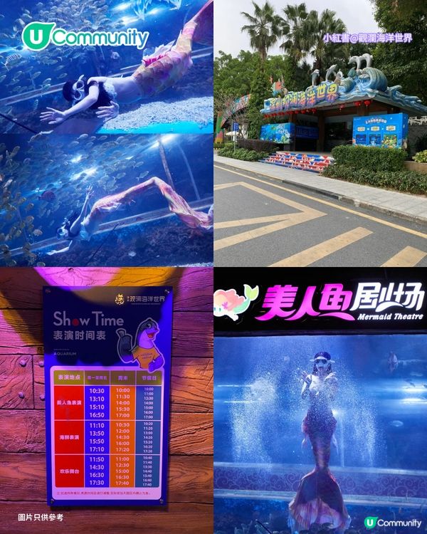 【深圳親子遊2026】深圳觀瀾湖2日1夜行程推介🌸櫻花節開幕/卡丁車/冰雪世界