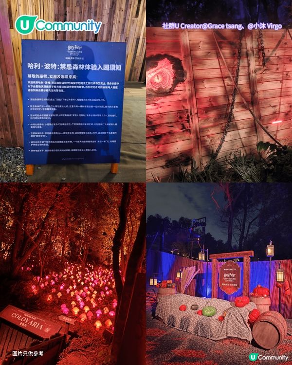 【深圳親子遊2026】深圳觀瀾湖2日1夜行程推介🌸櫻花節開幕/卡丁車/冰雪世界