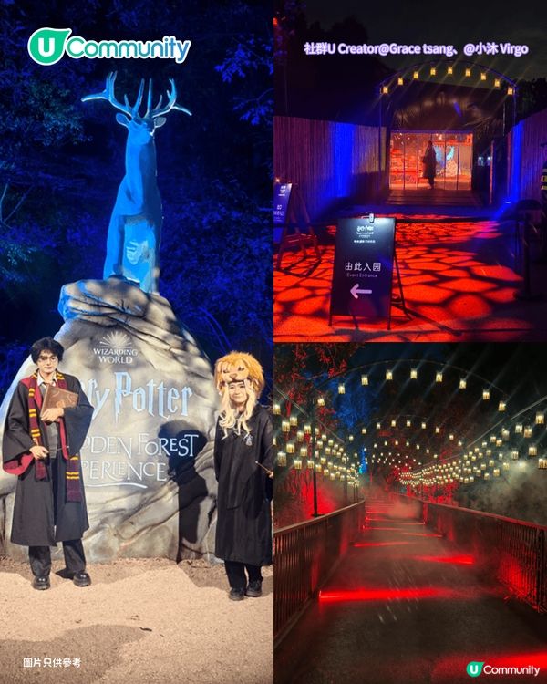 【深圳親子遊2026】深圳觀瀾湖2日1夜行程推介🌸櫻花節開幕/卡丁車/冰雪世界