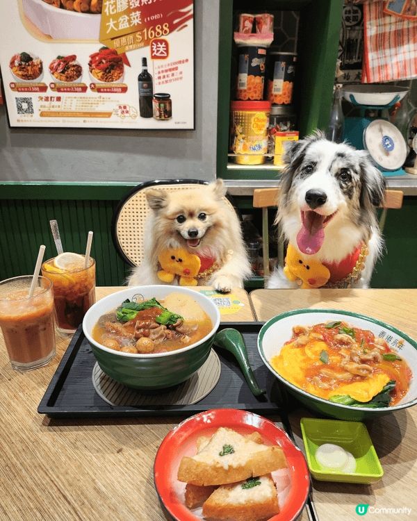 去新城市廣場好多時都會去永年食飯，呢度嘅店員都好pet fr...