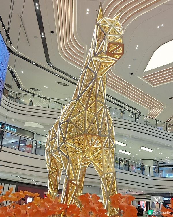 大圍金馬迎新春