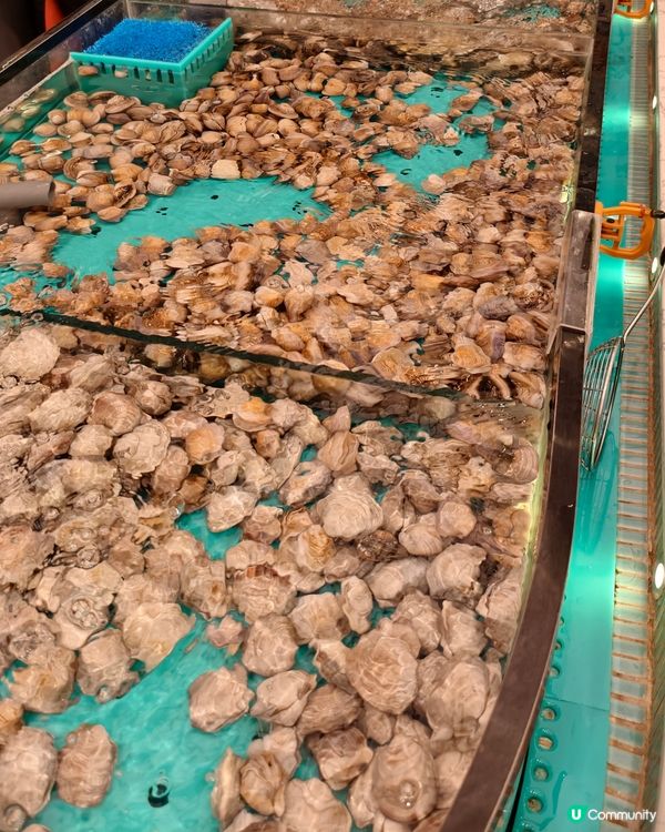 嘩！千海水產放題🤩🦐🦀👍