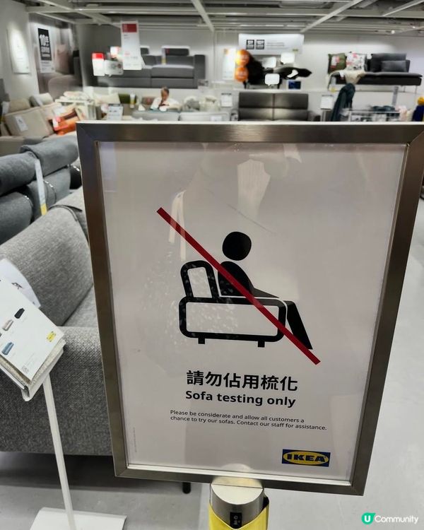 睇傢俬定係聽書？🛋️😴