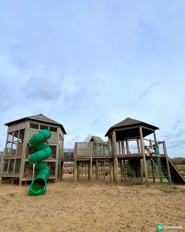 『英國』🇬🇧公園親子放電｜同陽光玩遊戲☀️